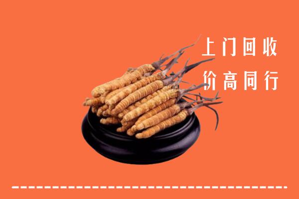 高价求购：海西回收散虫草